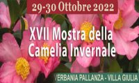 Verbania
XVII Mostra della Camelia Invernale
