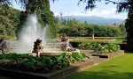 Verbania
Giardini di Villa Taranto a Verbania: una grande stagione quella appena conclusa