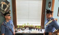 Vignone
Carabinieri: arresti per coltivazione marijuana