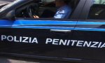 Verbania
Vermi nella scuola di polizia penitenziaria