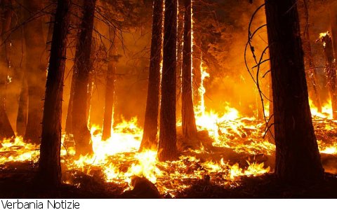 Gignese
Incendio sopra Gignese