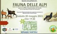 Verbania
Fauna delle Alpi