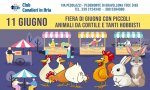 Gravellona Toce
Eventi per bambini a Gravellona