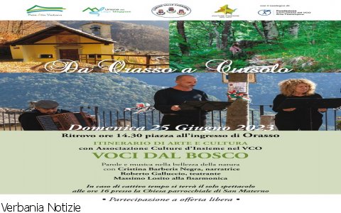 Cursolo Orasso
"Voci dal Bosco" Cursolo Orasso
"Voci dal Bosco"