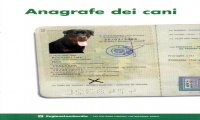 Verbania
Marchionini scrive all'ASL per verifica anagrafe canina