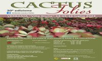 Verbania
Cactus Folies