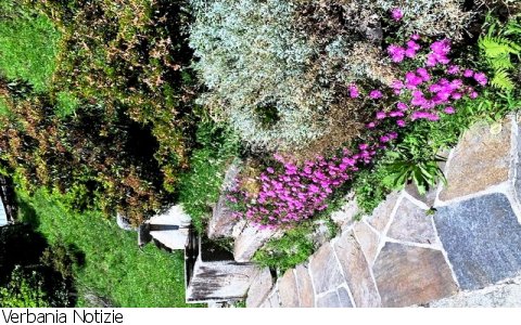 Cavaglio Spoccia
Una chiesa sulla roccia - evento con concerto