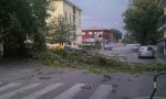 Omegna
Raffiche di vento danni tra Vco e Novara