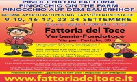 Verbania
“Pinocchio in Fattoria”