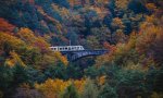 Santa Maria Maggiore
Torna il Treno del Foliage