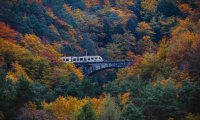 Santa Maria Maggiore
Torna il Treno del Foliage