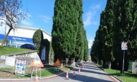Verbania
Lavori al viale del cimitero di Pallanza