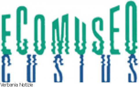 Nonio
Rassegna Cinematografica