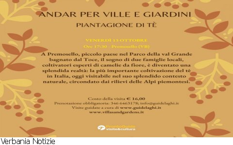 Premosello
Visita alla Piantagione di Tè 