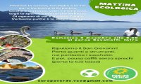 Verbania
Mattinata ecologica