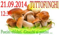 Stresa
Carciano: TuttoFunghi