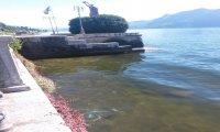 Verbania
Bicicletta nel lago a Intra