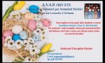 Verbania
AVAP propone le uova solidali