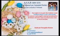Verbania
AVAP propone le uova solidali