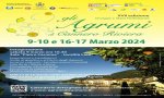 Cannero Riviera
Gli Agrumi di Cannero Riviera 9-17 marzo 2024