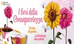 Verbania
I Fiori della Consapevolezza