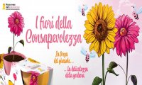 Verbania
I Fiori della Consapevolezza