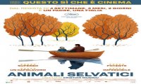 Verbania
Metti una Sera al Cinema - Animali Selvatici