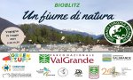 Vogogna
BioBlitz Un Fiume di Natura