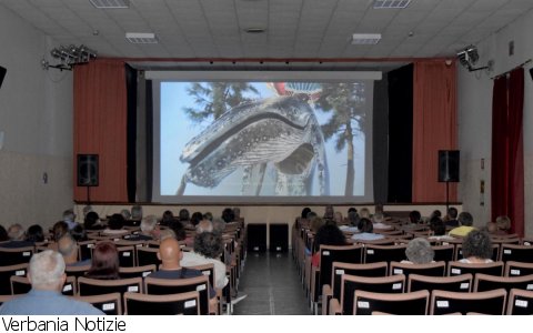 Malesco
Malescorto 2024 i vincitori Malesco
Malescorto 2024 i vincitori