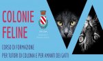 Verbania
Corso di formazione per tutor di colonia felina