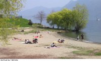 Verbania
All'Arena vietato il bagno