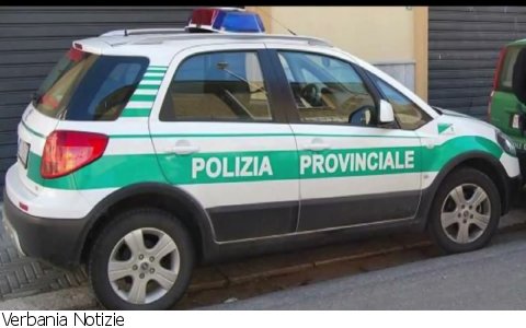 Oggebbio
Denunciati bracconieri