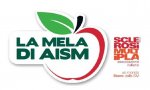 Verbania
Torna “La Mela di AISM”