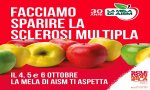 Verbania
La Mela di AISM festeggia 30 anni