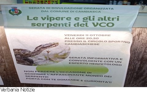 Cambiasca
"Le vipere e gli altri serpenti del VCO"