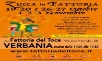 Verbania
Zucca in Fattoria 2024