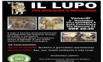 Villadossola
"Il lupo tra biologia e mitologia"