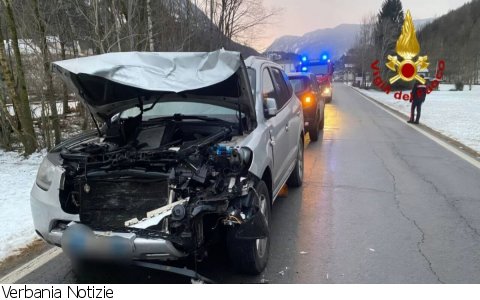Formazza
Incidente tra auto e cervo