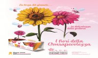 Verbania
Fiori della Consapevolezza