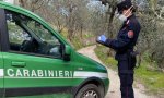 Vogogna
Nuova sede Carabinieri Parco Nazionale Vai Grande