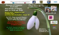 Omegna
Mercatini di Primavera