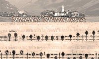 Verbania
Insulae Harmonicae 2014