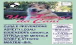Vignone
"Un lavoro da cani"