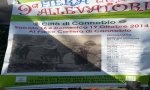 Cannobio
9° Fiera degli Allevatori