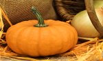 Omegna
La Zucca tra Halloween e la Cucina italiana