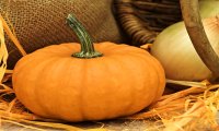 Omegna
La Zucca tra Halloween e la Cucina italiana