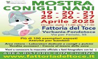 Verbania
Mostra di Conigli Nani