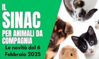 Verbania
Animali da compagnia: nuove funzionalità sul sito SINAC