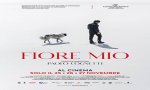 Verbania
Metti Una Sera al Cinema - Fiore mio