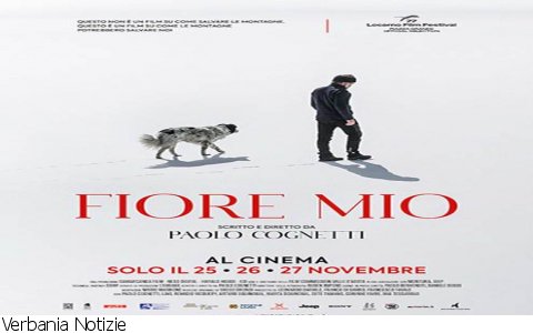 Verbania
Metti Una Sera al Cinema - Fiore mio